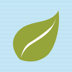 leaf plant natural sheet vector illustration design