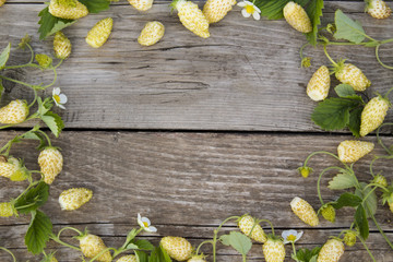 the bezels of the yellow strawberry, leaves and flowers on a background of old wooden planks
