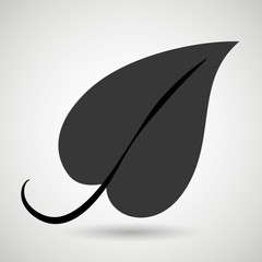 leaf plant natural sheet vector illustration design