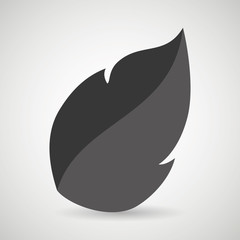 leaf plant natural sheet vector illustration design