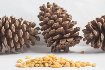 Close-up on Pine Nuts in white background