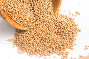 Mustard seeds into a bowl in white background