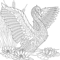 Fototapeta premium Stylized beautiful swan among water lilies (lotus flowers) and reed grass. Freehand sketch for adult anti stress coloring book page with doodle and zentangle elements.