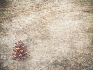 wood background textured with pine cones.wooden table surface background with copy space.vintage style.