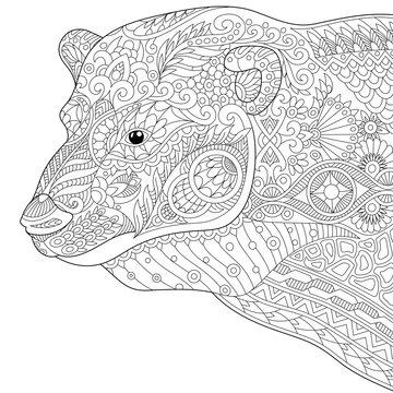 Stylized polar bear, isolated on white background. Freehand sketch for adult anti stress coloring book page with doodle and zentangle elements.