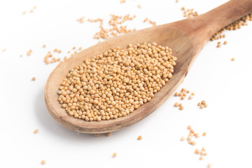 Mustard seeds into a spoon in white background