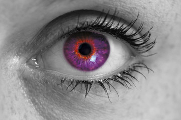 Auge mit lila iris blickt auf betrachter konzept makro.