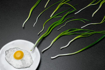 Egg , chives (green onio) and white plate look like sperm competition, Spermatozoons floating to ovule