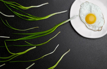 Egg , chives (green onio) and white plate look like sperm competition, Spermatozoons floating to ovule