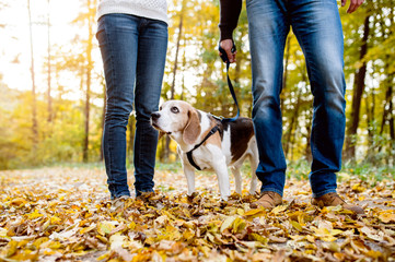 Beautiful young couple walking a dog in autumn forest