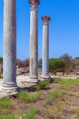 Fototapeta premium Ruins of Salamis near Famagusta.