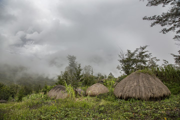 traditional houses in Baliem Valley West Papua, Indonesia 