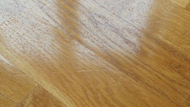 Parquet. Drops of water on wooden surface.
