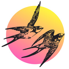 Vector hand drawn swallow bird set abstract illustration. Flying pair of swifts in love - detailed sketch, beautiful animal in the wild with colorful background - 118834156