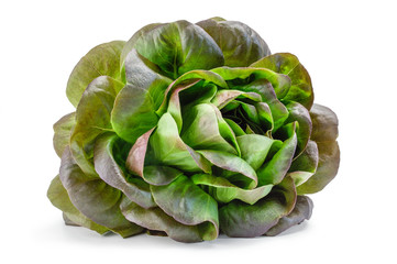 Obraz premium the green salad isolated on white