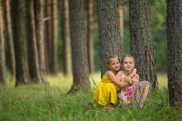 Two little cute girls friends in a pine forest.