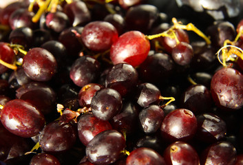 Fresh ripe purple grapes