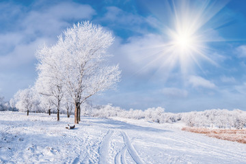 Fototapeta na wymiar Winter landscape with tree and road