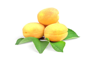 Ripe Apricots Isolated on White Background