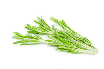 Fototapeta premium Fresh green sprig of rosemary isolated on a white background