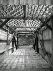 Pine Bridge