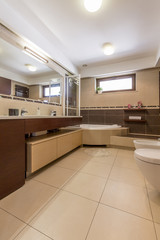 Roomy bathroom interior practical on busy mornings