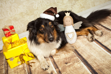 Hund hat Angst vor dem Weihnachtsmann