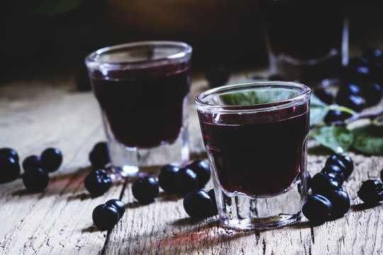 Schnapsdrossel-Bilder: Stock-Fotos &amp; -Videos. | Adobe Stock