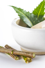 Mortar and pestle with medicinal neem leaves with twigs on white background