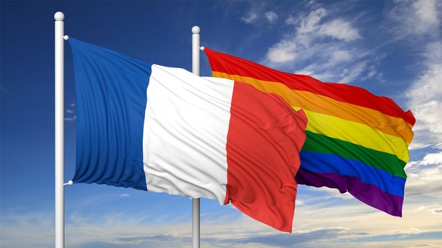 3d rendering gay flag with France flag