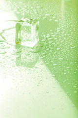 Ice cubes on a wet table. Selective focus
