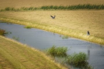 Take-off