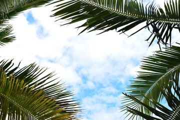 Obraz premium resort image back ground in nature it is sunny day