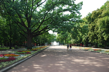 летняя прогулка