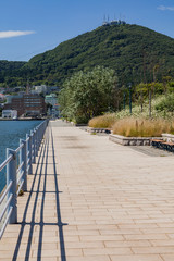 Fototapeta premium 緑の島から見る函館山