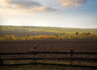 Obraz premium autumn.