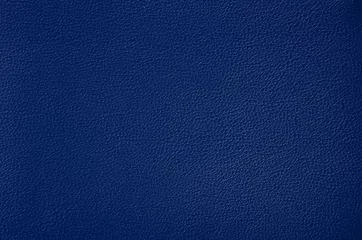 Deurstickers Blue leather texture © georgeion88