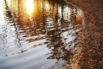 Reflection in the river - toned photo. Evening photo with vintage effect.