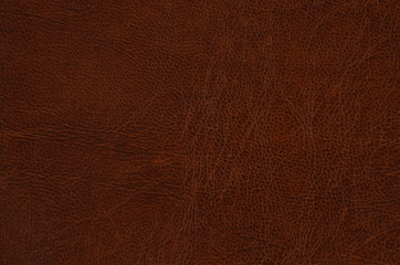 Brown leather texture