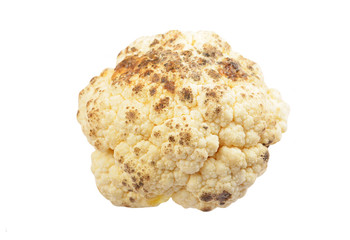 Molded ripe cauliflower