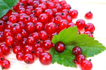 red currant berries