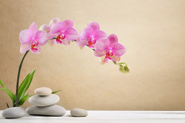 Obraz na płótnie Canvas Orchid flowers and spa stones