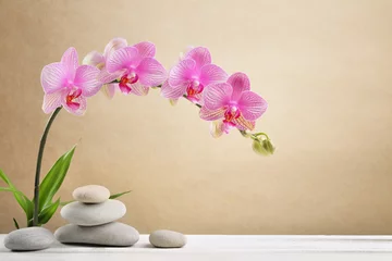 Rolgordijnen Orchid flowers and spa stones © Li Ding