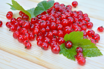 red currant berries