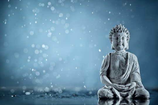 Buddha In Meditation