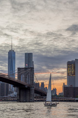 Fototapeta premium New York Skyline
