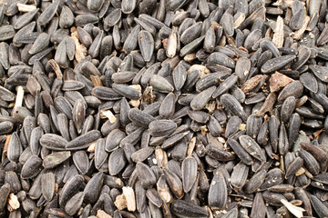 Sunflower Seeds Close Up