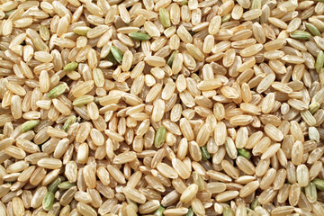 Brown Rice Macro