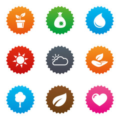 Sprout, leaf icons. Garden and weather signs.