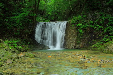 岩手県　夏の幣掛けの滝